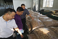 陳國棟總經理帶隊考察糧油平臺標桿企業